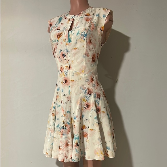 Rebecca Taylor Poppy Print 100% Silk Godet Lined Dress Size 8 - Picture 7 of 16